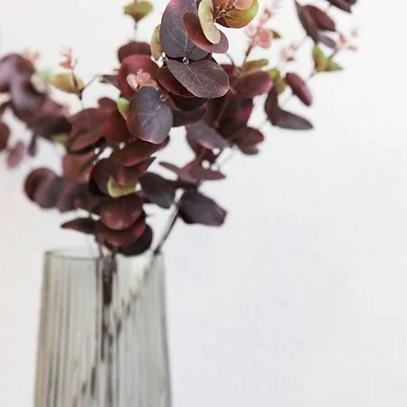 Haus Treibholz 8 Daire